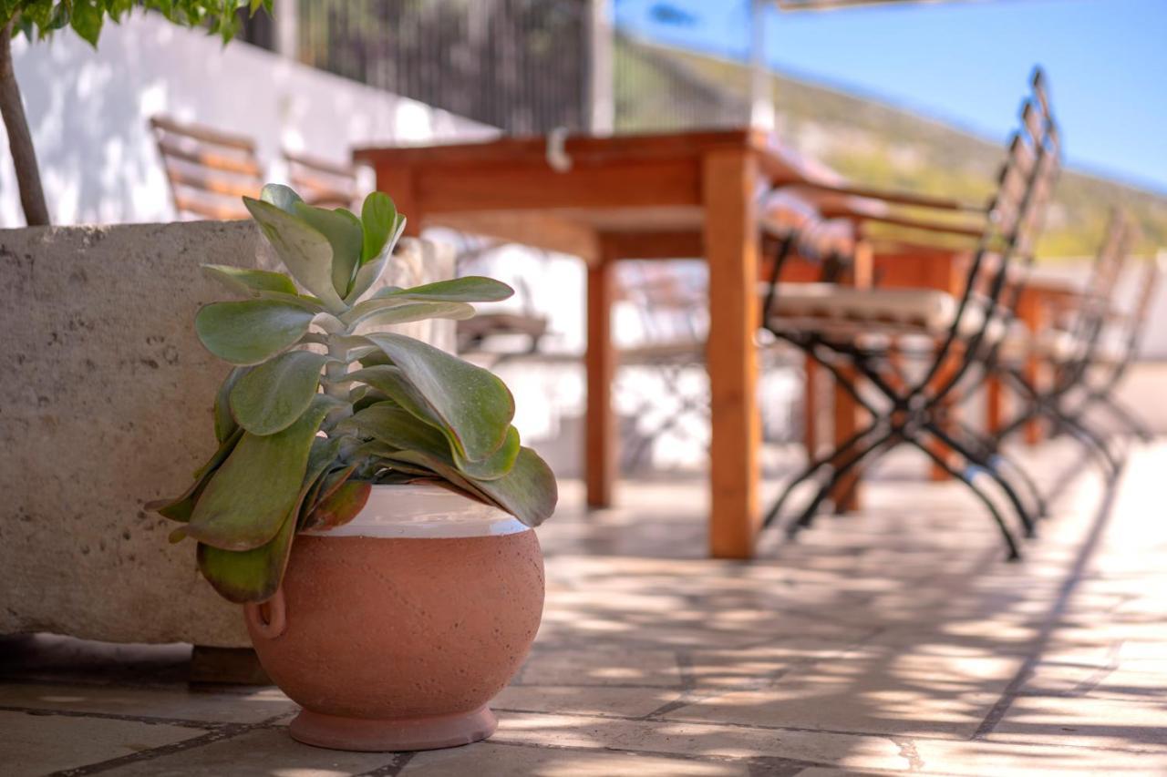 Pansion Marjan Hotel Zavala Bagian luar foto